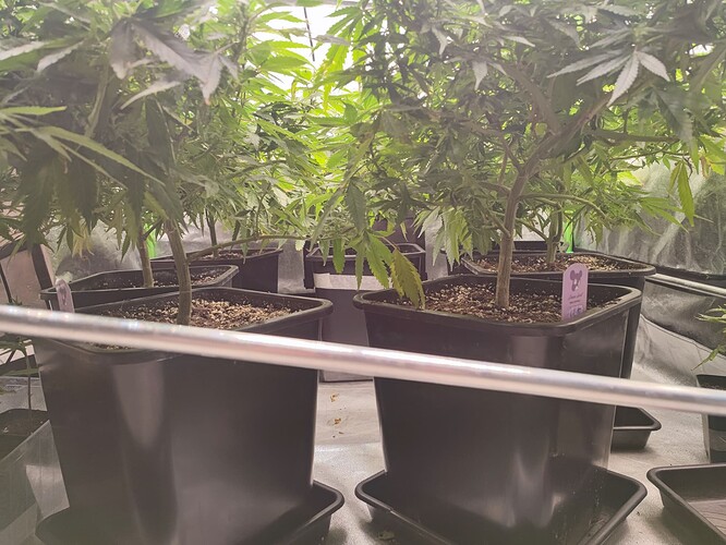 Growreport Bild 10