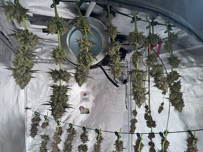 Growreport Bild 27