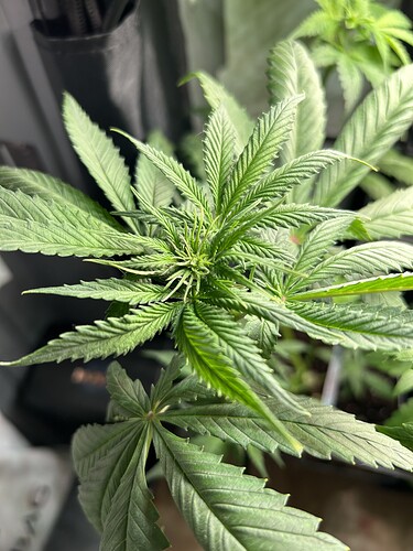 Growreport Bild 8