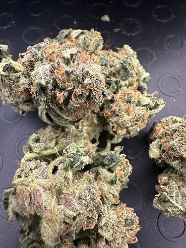 Growreport Bild 10