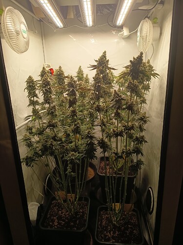 Growreport Bild 2