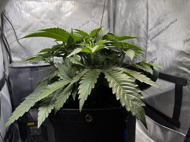 Growreport Bild 1