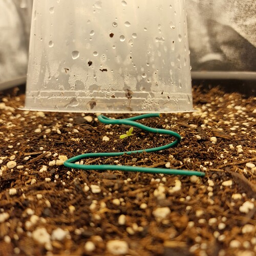 Growreport Bild 10