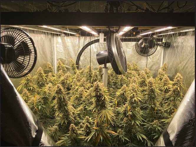 Screenshot 2024-10-11 192502