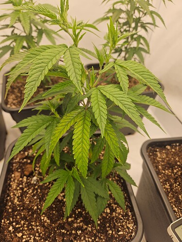 Growreport Bild 11