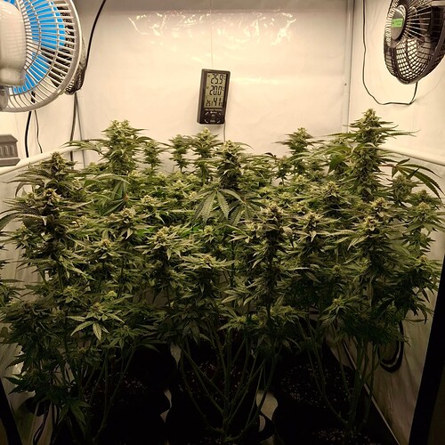 476249001_122167156148293599_7070725700951724276_n