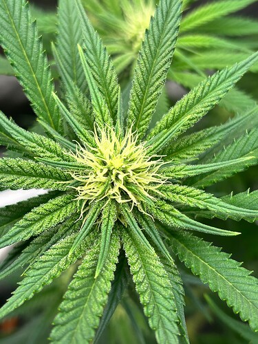 Growreport Bild 20