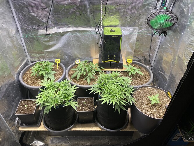 Growreport Bild 54