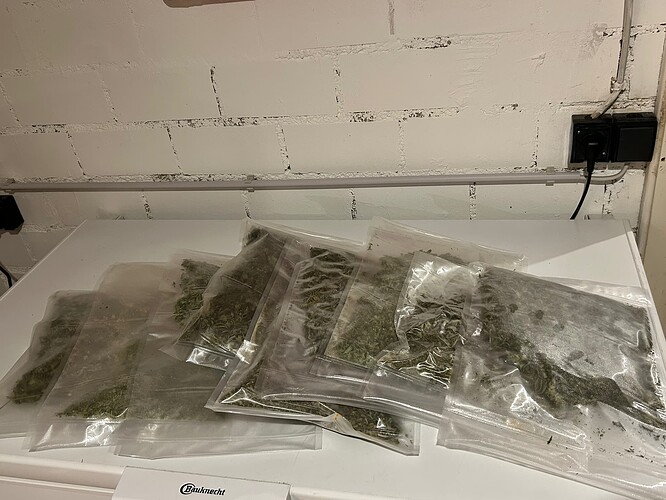 Growreport Bild 10