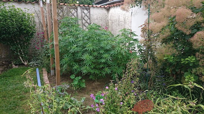 Growreport Bild 18
