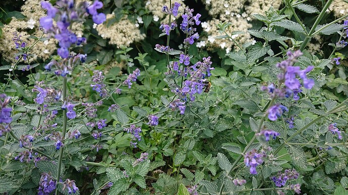 Growreport Bild 25
