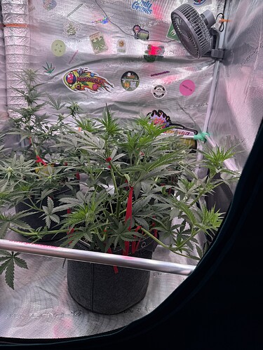 Growreport Bild 10