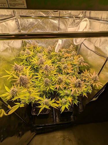 PXL_20240706_162432160