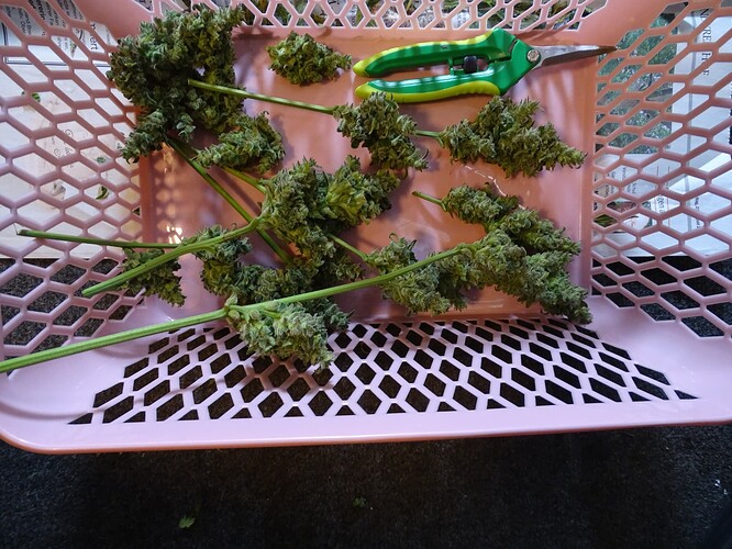 Growreport Bild 23