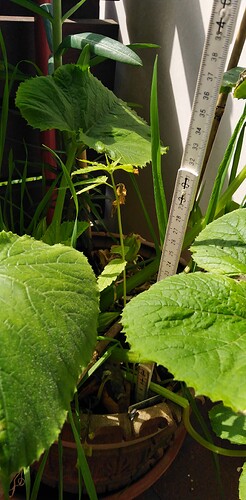 Growreport Bild 11
