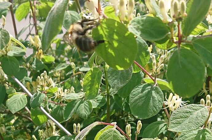 Growreport Bild 50