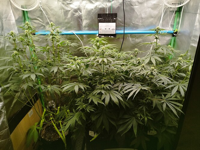 Growreport Bild 10