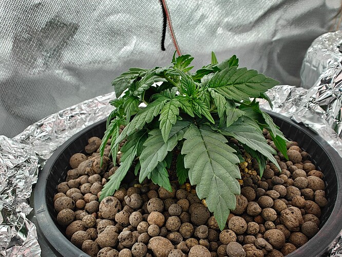Growreport Bild 12