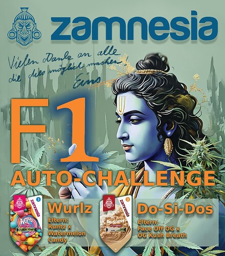 f1_challenge(2)