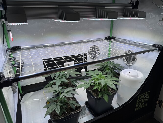 Growreport Bild 10