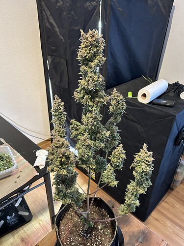 Growreport Bild 4
