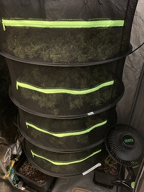 Growreport Bild 4