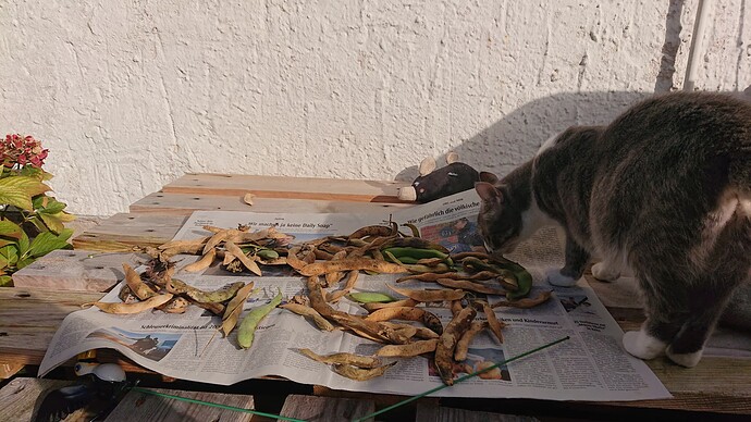Growreport Bild 38
