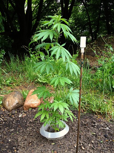 Grow25_0525_1