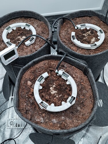 Growreport Bild 11