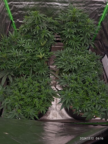 Growreport Bild 12
