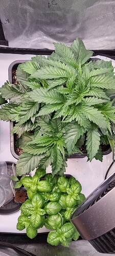 Growreport Bild 14