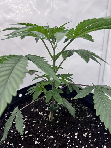 Growreport Bild 9