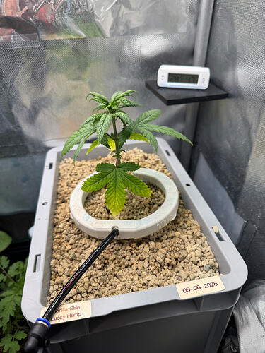 Growreport Bild 2