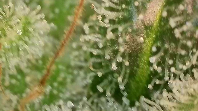 2026-08-08-070921708