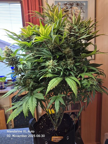 Growreport Bild 1