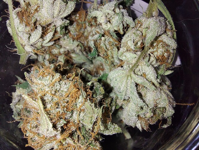 Growreport Bild 1