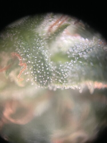 Growreport Bild 9