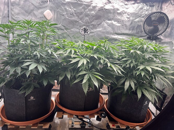 Growreport Bild 2
