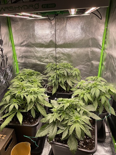 Growreport Bild 6