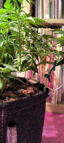 Growreport Bild 4
