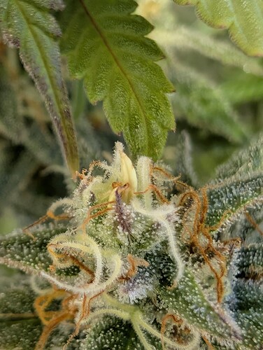 Growreport Bild 14
