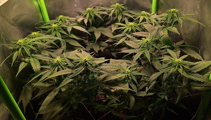 Growreport Bild 9