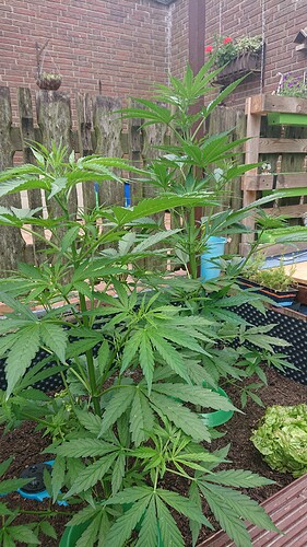 Growreport Bild 14