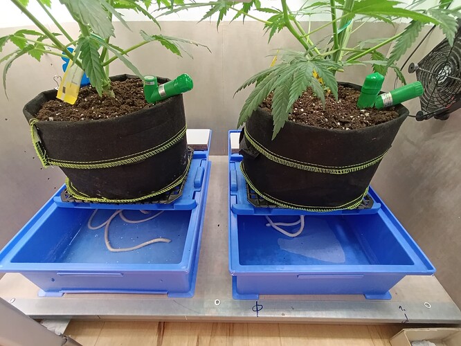 Growreport Bild 24