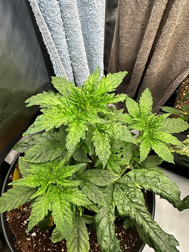 Growreport Bild 21