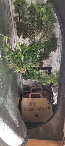 Growreport Bild 10