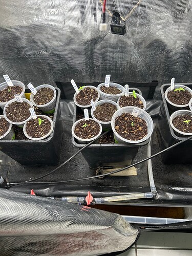 Growreport Bild 21