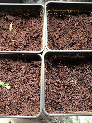 Growreport Bild 30