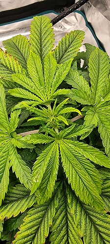 Growreport Bild 10
