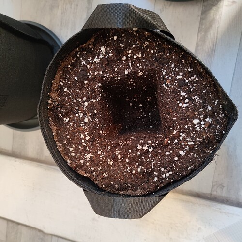 Growreport Bild 19